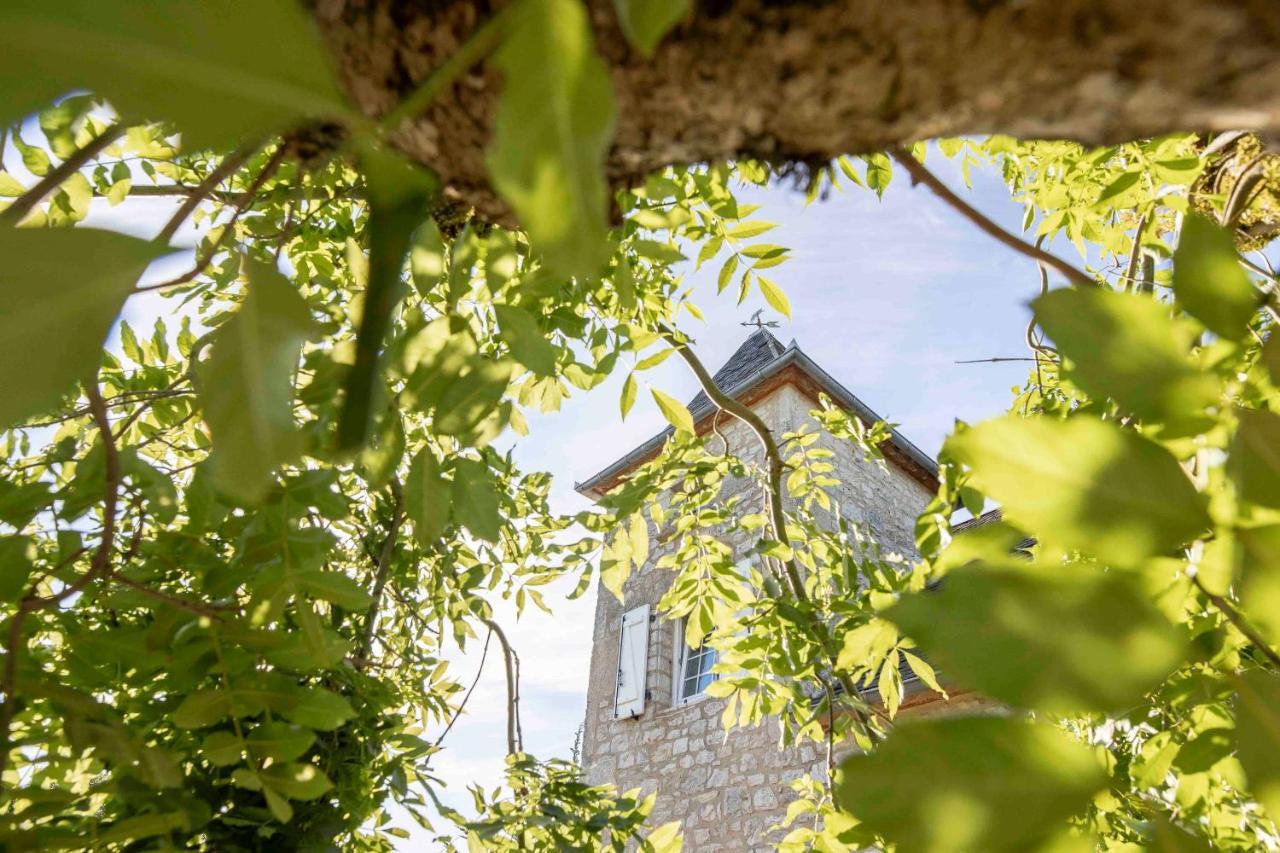 مبيت وإفطار Reilhaguet Domaine La Garenne المظهر الخارجي الصورة